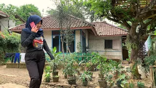 Tak Nyangka, Bakal Ketemu Cewek Cantik di Kampung Ini. Siapa Dia?? Suasana Pedesaan Garut Selatan