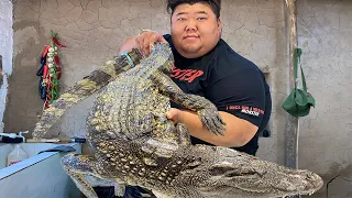 2000元买条30斤的大鳄鱼，猴哥把整只下锅红烧，简直是人间美味！【胖猴仔】