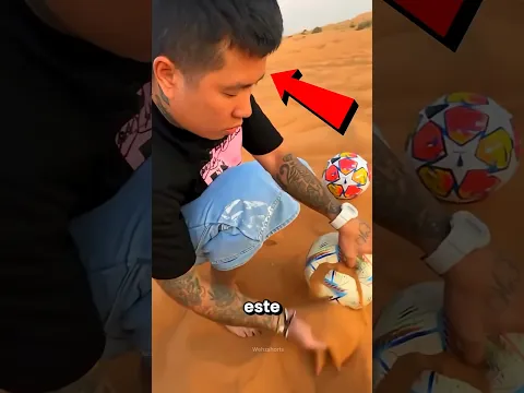 Venganza con el Balón 😭🤯 #Catsoftiktok #CatLovers #cat #cute #FunnyCats #catcartoon #fyp