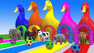 Elephant Gorilla Cow Hippopotamus Lion In 3D Animal Game