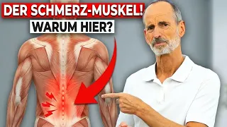 Dieser Muskel löst häufig Schmerzen aus (sagt dir keiner!)