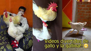 EPISODIO 5 - LOS MEJORES VIDEOS DE LINO EL GALLO CON BOTAS 🐔