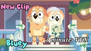 Frisky and Rad's Wedding | Bluey Fun Episode | Bluey Compilation VFX - by: Peecheffects 