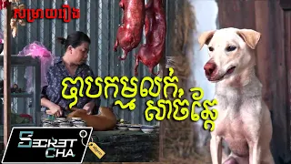បាបកម្មអ្នកលក់សាច់ឆ្កែ - សម្រាយរឿង ខ្មោចសុនកព្យាបាទ Quy Cau (Secret Cha)