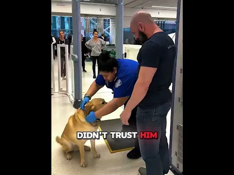 They Said NO DOGS Allowed, But THIS Dog Changed The Rules!😱❤️