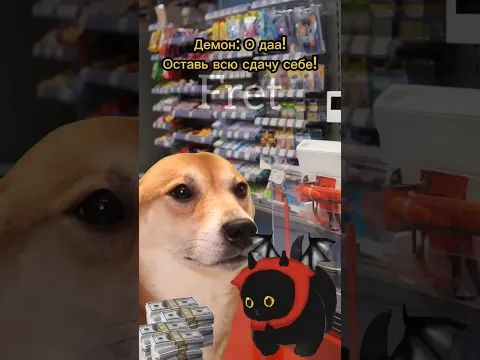 Собака обманула продавца😱 #котики #мем #фрет