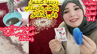 عندك مشطة وفاني نظفي الزرابي من الوسخ والطبايع في خمس دقائق بدون مجهود كترجع جديدة بلا شيتة بلا ماء😳