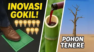 Ubin Jepang Bikin Listrik | Wine dari Bambu Muda | Dan Pohon Sahara Dihantam Truk!"