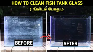 5 நிமிடம் போதும் 😧 How To Clean Fish Tank Glass In Tamil | Cloning Aqua
