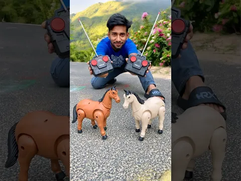 Akta RC Snake 🐍 and Duita Remote wala Horse 😄