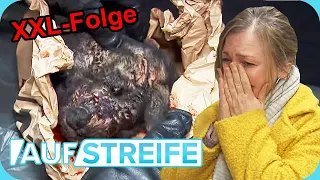 Spezialfolge zum Staffel-Auftakt: Gewalt gegen Hund & 4-jährigen Sohn! | Auf Streife | SAT.1