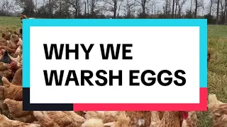 Why We Wash Eggs