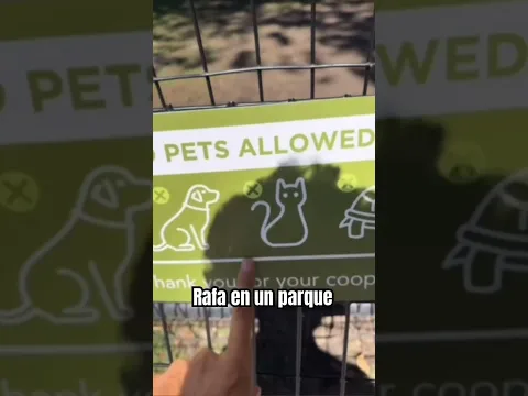 Rafa no puede llevar a sus perros a este parque 😭 #lospolinesios #rafapolinesio #shorts