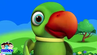 Main Tota, मैं तोता मैं तोता, Gubbare Wala + Hindi Nursery Rhymes for Children