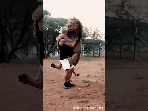 Lion Jump🦁