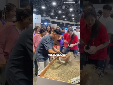 Tantangan aneh! Kumpulkan T*i Kucing Sebanyak Mungkin 😫🤯
