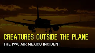 “Creatures Outside The Plane: The 1990 Air Mexico Incident”  | Paranormal Stories