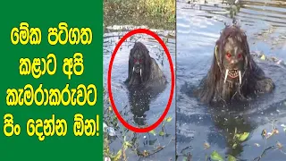 මේ අබිරහ​ස පටිගත කරගත්ත කෙනාට මල් තියලා වදින්න ඕන! ‍| Videos That'll Make You Question Everything