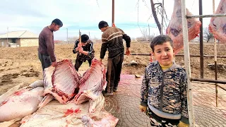 LIFE in the Mountains of Uzbekistan. How 40 lambs are cooked a day in old tandoors
