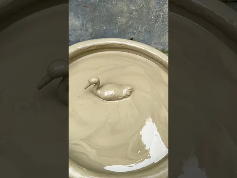 Cleaning Bird satisfying asmr