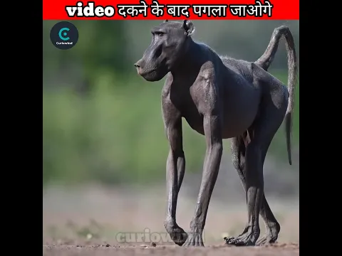 video देखने के बाद पगला जाओगे #shorts #facts