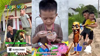 Tổng Hợp Các Video Hay Nhất Nhất Của Team Tippi Phần 9 #tippitv #tippivips