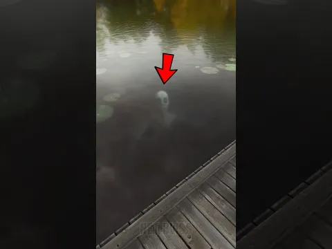 Top 5 Real Sea Monsters That Shocked the World!