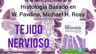 TEJIDO NERVIOSO en 18 Minutos: Neuronas y Glía Explicadas Fácilmente