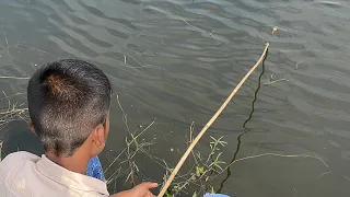 Great fishing in Angaria, Noakhali Area