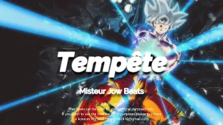 DANCEHALL SHATTA INSTRUMENTAL 2022 "TEMPETE" (BEATS BY MISTEUR JOW BEATS)