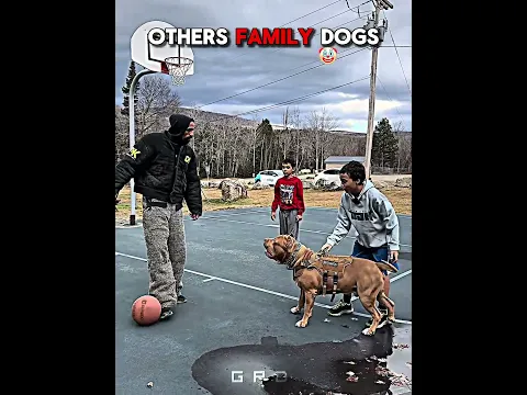 Others Family Dog Protection pt2☠️ | #edit #trollface #usa #newyork #dog