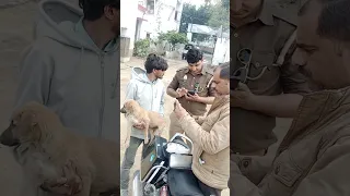 cute puppy 🐶🐶1ist dose vaccination #motivation #shortvideo#lovestatus #trendingshorts #chiragraj7777