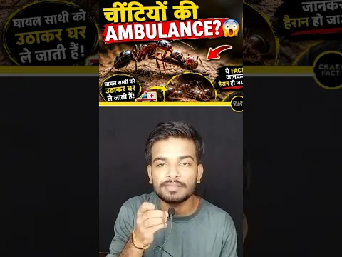 चींटियाँ भी Ambulance Service चलाती हैं! 😱🐜 | Amazing Animal Facts #shorts