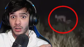 CRIATURAS ASSUSTADORAS GRAVADAS POR CÂMERAS DE CARRO!!