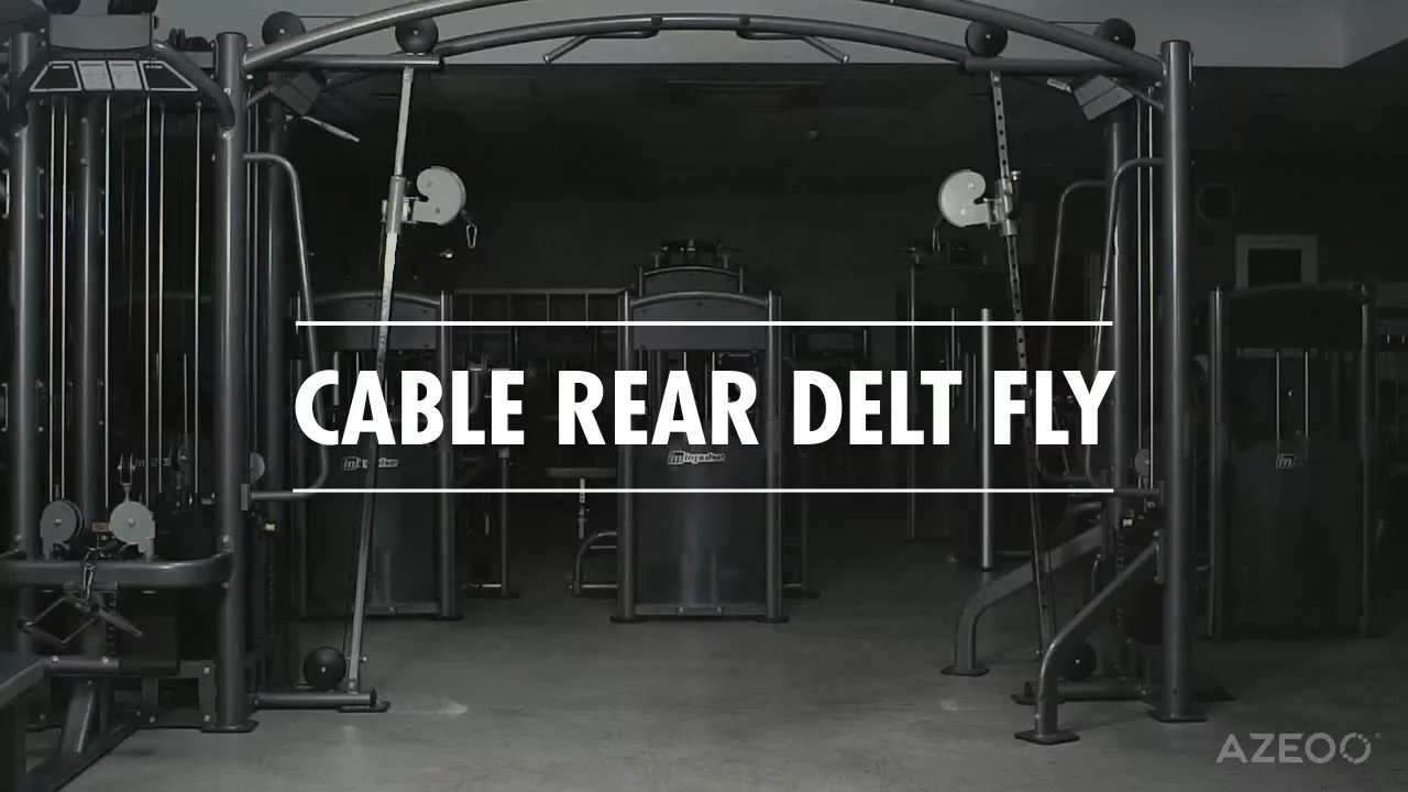 Image Cable Rear Delt Fly
