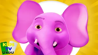 Ek Mota Hathi, ایک موٹا ہاتھی۔, Urdu Nursery Rhyme for Kids and Song