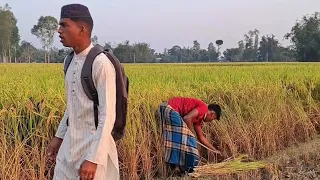 One Works In Paddy Fields | A Man Carries A Bag From The Side | New Indian Funny | Village Fun13