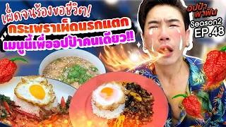 เมนูนี้เพื่ออปป้าคนเดียว! ลุยกะเพราเผ็ดนรกแตก เผ็ดจนร้องขอชีวิต | อปป้าพาฟิน SS2 EP.48