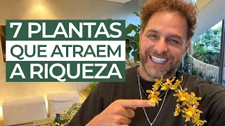 7 PLANTAS QUE ATRAEM A RIQUEZA | Daniel Atalla
