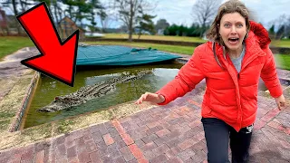 WHAT IS HIDING IN STEPHEN SHARER's POOL?!
