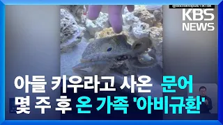 [글로벌K] 집에서 키우려고 사다준 문어, 몇 주 후 온 가족이 '아비규환' / KBS  2024.04.26.
