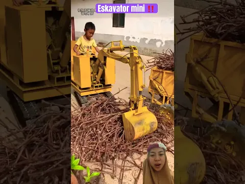 Eskavator mini ‼️