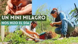 Un mini Milagro nos hizo el día 🐦 | Millonarios (pero) de habas y ajos 🤭🌿