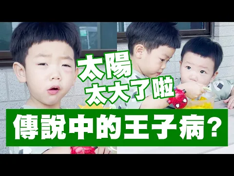 得了傳說中的王子病？陽台野餐還嫌太陽大？【蔡桃貴 #shorts 】