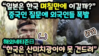 "일본은 한국을 며칠만에 이길까?" 중국인 질문에 외국인 반응 폭발 // "한국은 산미치광이야 못 건드려" [해외반응]