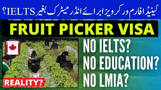 Canada Farm Worker / Fruit Picker Visa for Under Matric without IELTS?