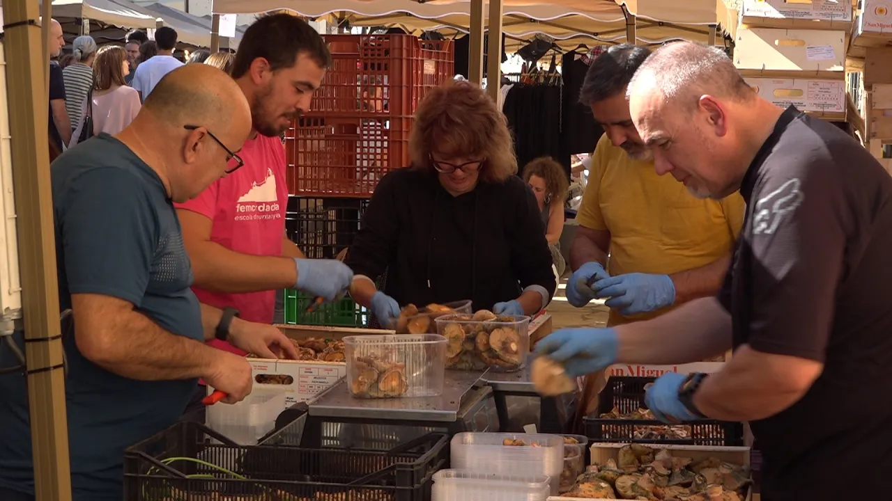 La Festa de Bolet de Seva torna a demostrar la capacitat d’atracció de visitants