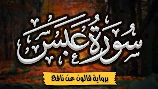 سورة عبس برواية قالون عن نافع | للقارئ حسين الرطب |تلاوة عطره