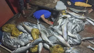 Câu Cá Biển.Câu Câu Cá Hòn .Câu Lông Cá Sông .Mini Jip Trúng Cá Chét Kéo Phê Người.câu phê.