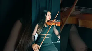 Un Largo Viaje . Marcela Gandara cover Sofia López violinista .